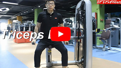 Triceps Dip Machine - Fitness Equipment Exercise Videos