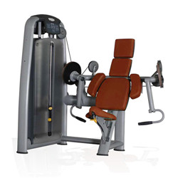 BFT2003 Professional Body Building Machine Biceps Curl Exercise Machine For Sales