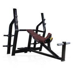 BFT2028 Commerical Gym Equipments Exercise Machines Incline Bench Gym Machine
