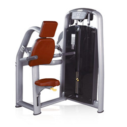 BFT2001b Wholesale Triceps Dip Machine Gym Equipment Factory