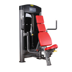 BFT-3002 Wholesale Best Pec Fly Rear Dec Machine/Chest Fly Machine/Machine Fly Exercise