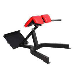 BFT3039B Roman Chair Manufacture Wholesale New Style Gym Equipment