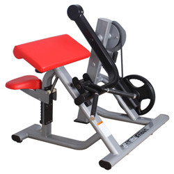 BFT5005 China Gym Equipment Factory Supply Biceps Curl Machine Wholesale