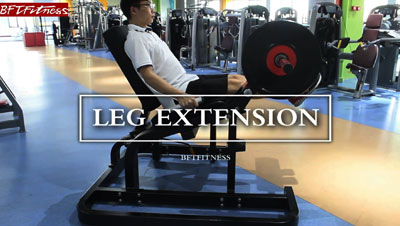 How To Use The Best Seated Leg Extension Hammer Strength Machine