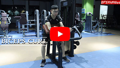 How to Use Seated Biceps Curl Machines in Gym