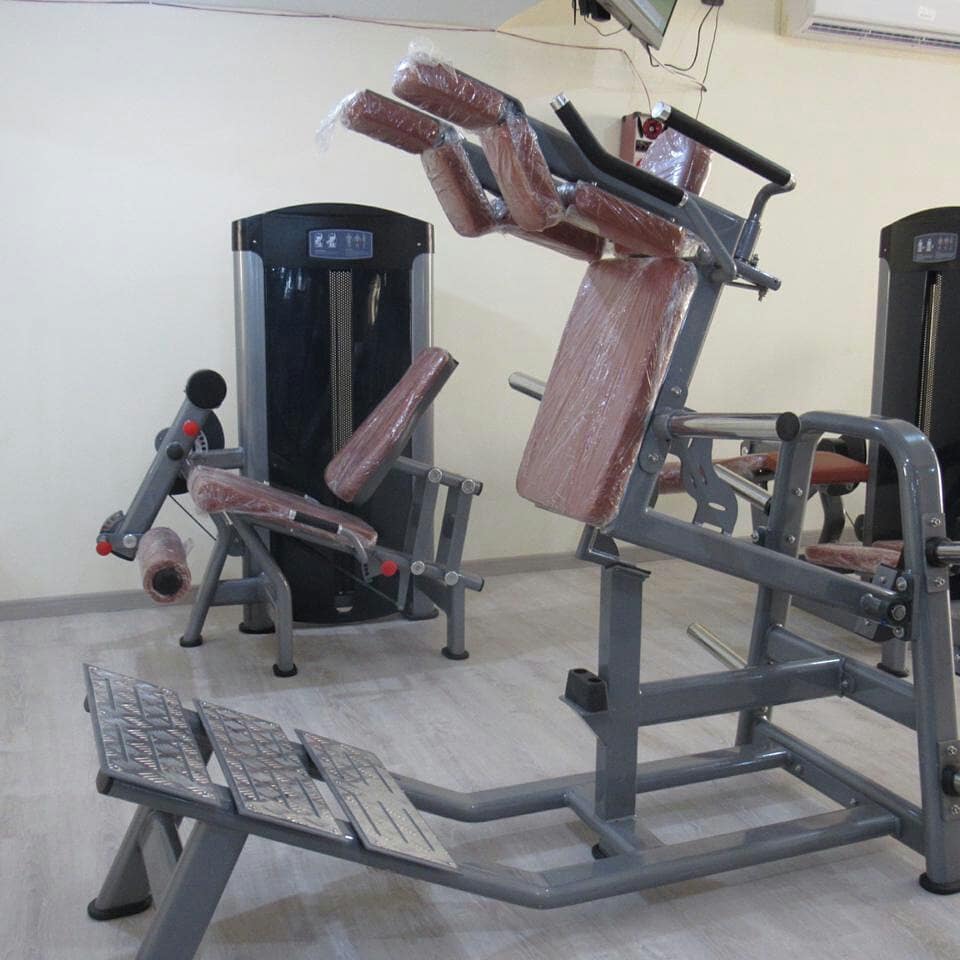Egypt gym machine