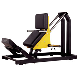 BFT1009 High Quality Seated Calf Machine With 3mm Square Tube