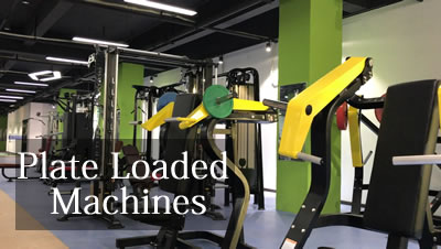 Plate Loaded Machines | Plate-Loaded Strength Training Equipment